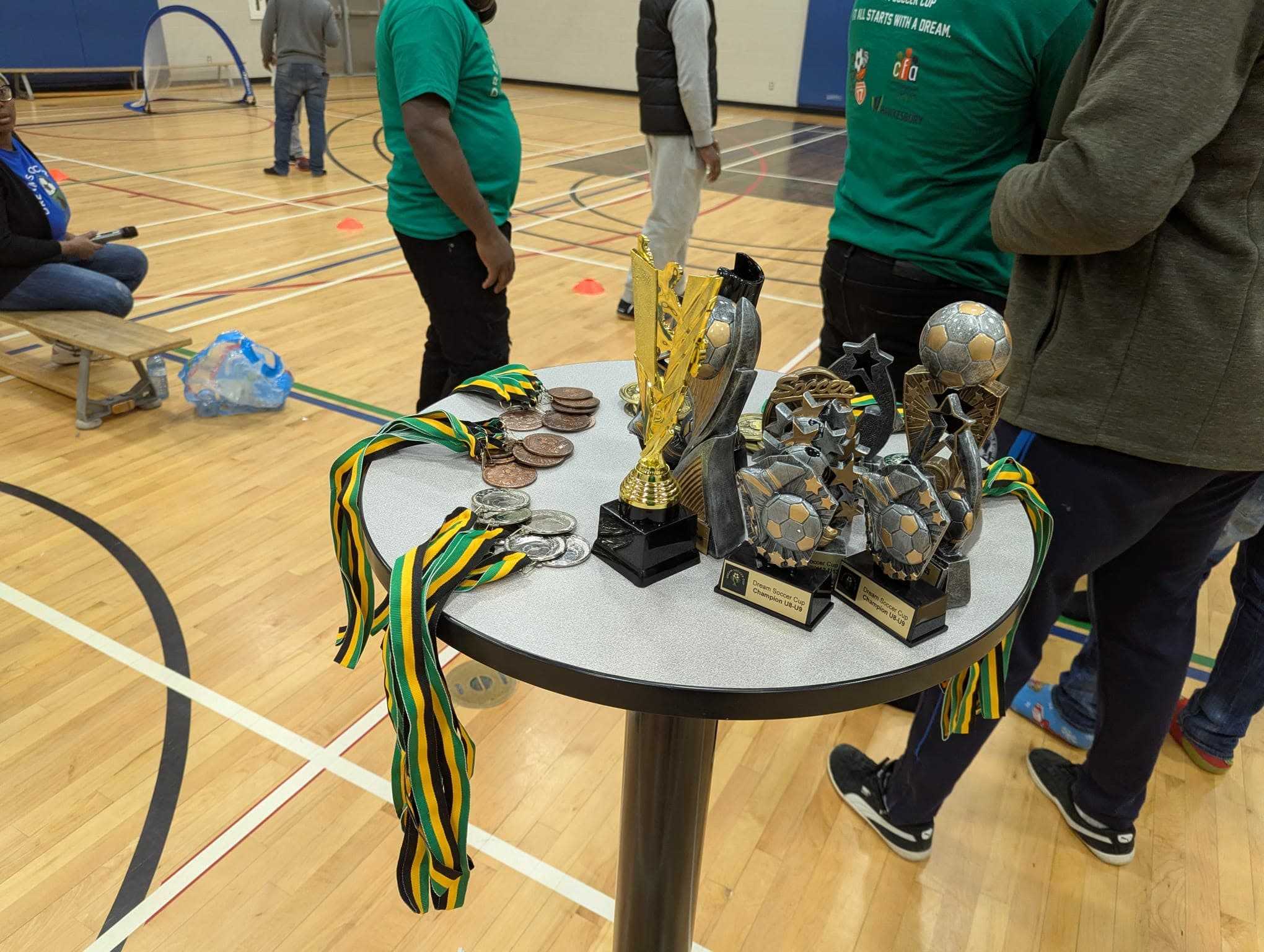 Trophies and medals display